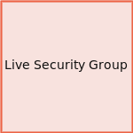 Live Security Group